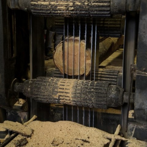 Museumssägewerk Zweifall, © Robert Jansen
