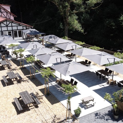 Terras