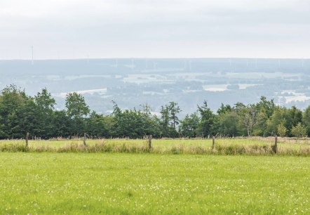 Aussicht vom Eifel-Blick Steling, © Eifel Tourismus GmbH, AR-shapefruit AG