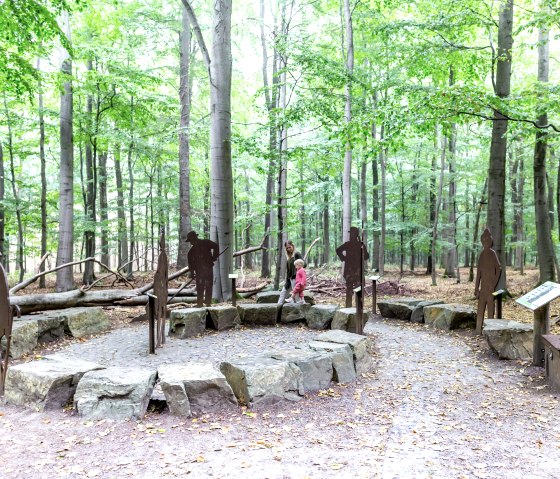 The Wild Path, sculptures in the beech forest, © Naturpark Nordeifel, Fotoagentur Wolf, freiheitswerke