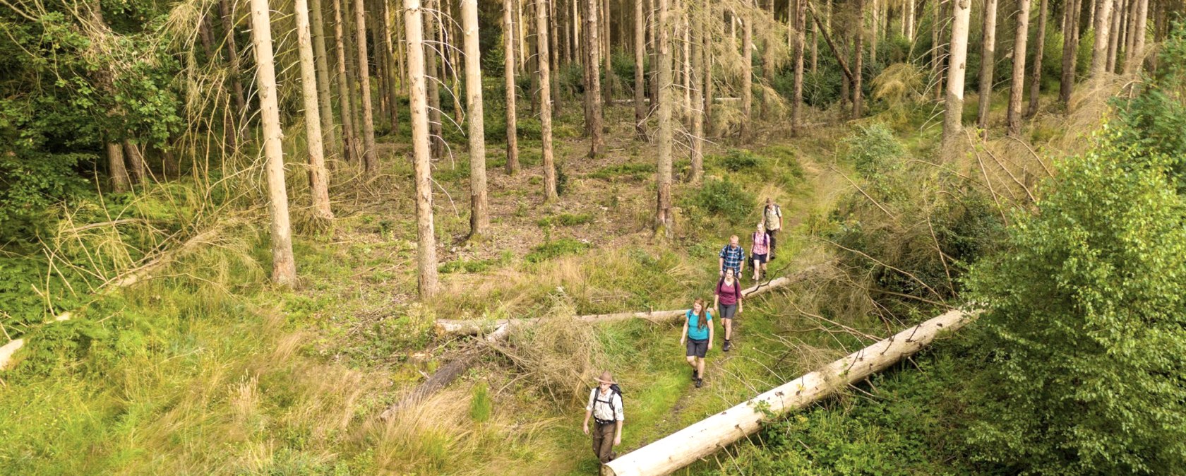 Wandeling met een ranger, © D. Ketz