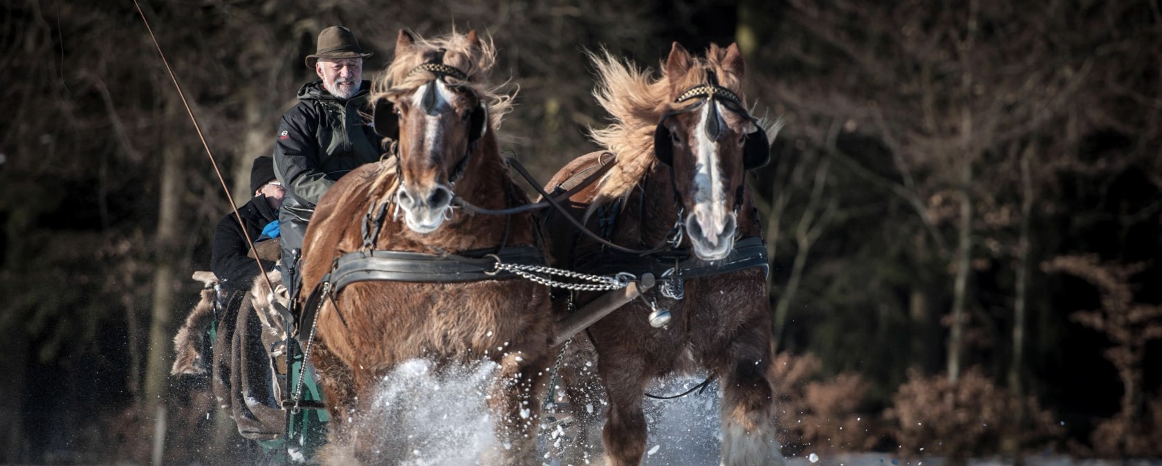 Bauershof, © Akim-Tierfotografie