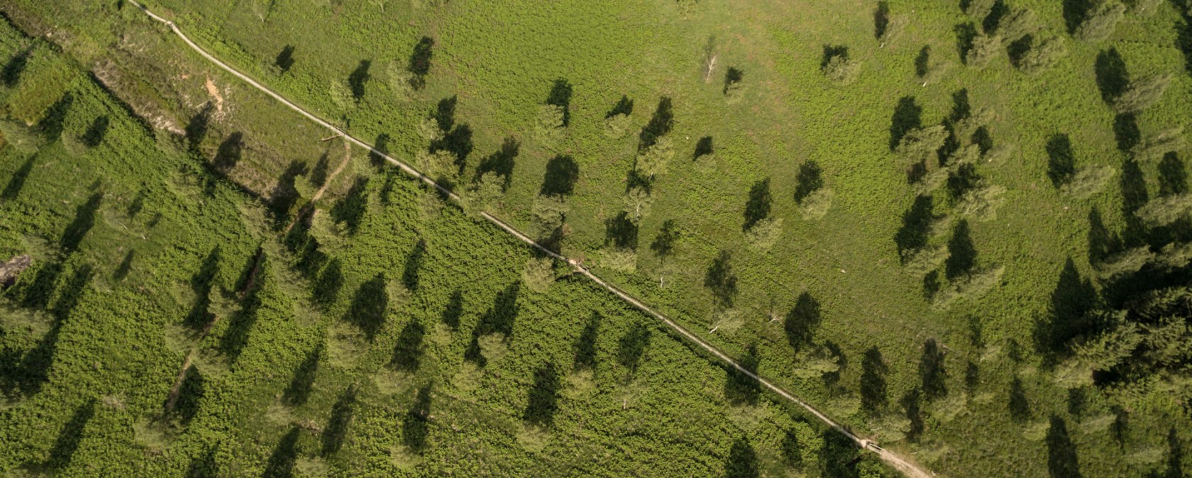 Luchtfoto van de Struffeltse Heide op de Eifelsteig, © Eifel Tourismus GmbH, D. Ketz