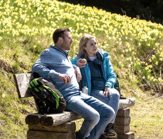Rust uit te midden van bloeiende narcissen, © Städteregion Aachen, Dominik Ketz