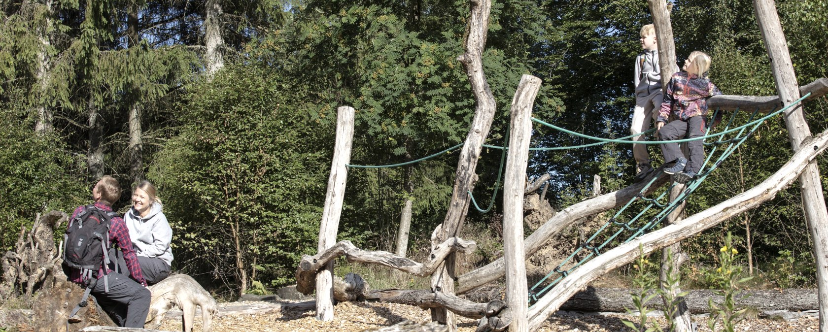 Walderlebnisparcours Kölschkier, Spinnennetz, © Eifel Tourismus GmbH, Tobias Vollmer - finanziert duch REACT-EU