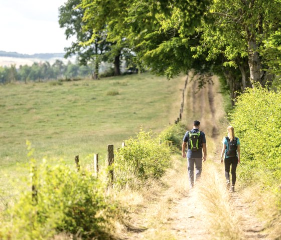 Wandelen Rursee-Höhenweg, © Eifel Tourismus GmbH, Dominik Ketz