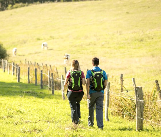 Manscheider Bachtal op de burchtenroute, partnerroute van de Eifelsteig, © Eifel Tourismus GmbH, Dominik Ketz