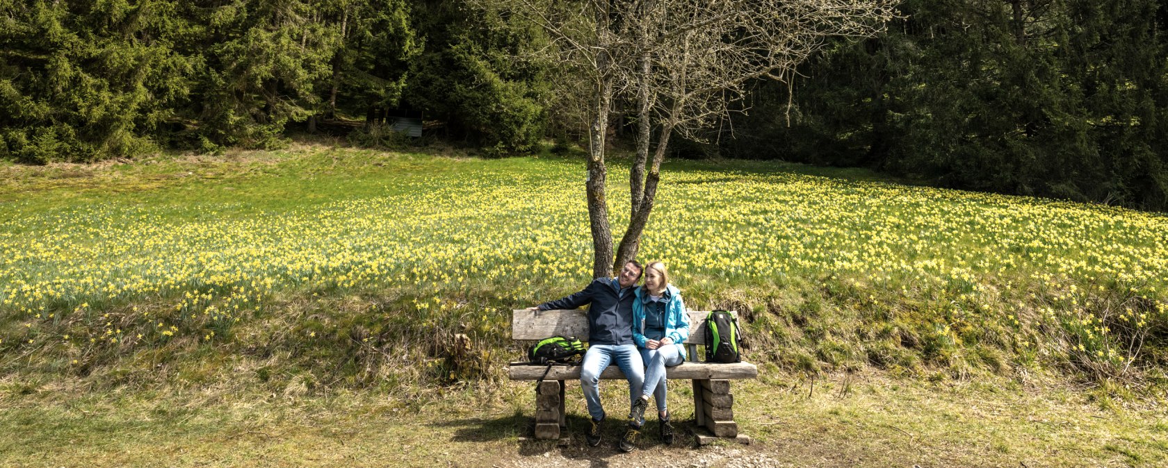 Narcissenroute met bloeiende weiden, © Städteregion Aachen, Dominik Ketz