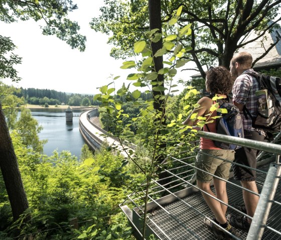 Wanderrast mit Aussicht auf die Dreilägerbachtalsperre, © Eifel Tourismus GmbH/D. Ketz