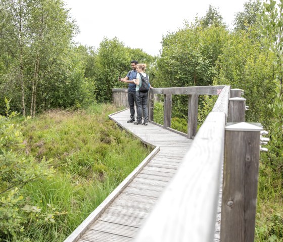 Wandelen over loopbruggen, Palsen bij Monschau-Mützenich, © Eifel Tourismus GmbH, AR-shapefruit AG
