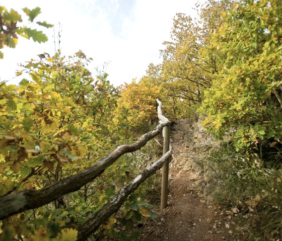 Kuckucksley on the Eifelsteig, © Rheinland-Pfalz Tourismus, D. Ketz