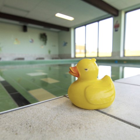 Badeente Schwimmerbecken, © Gemeinde Simmerath