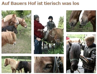 Dierlijke actie, © Ferienhof Bauer