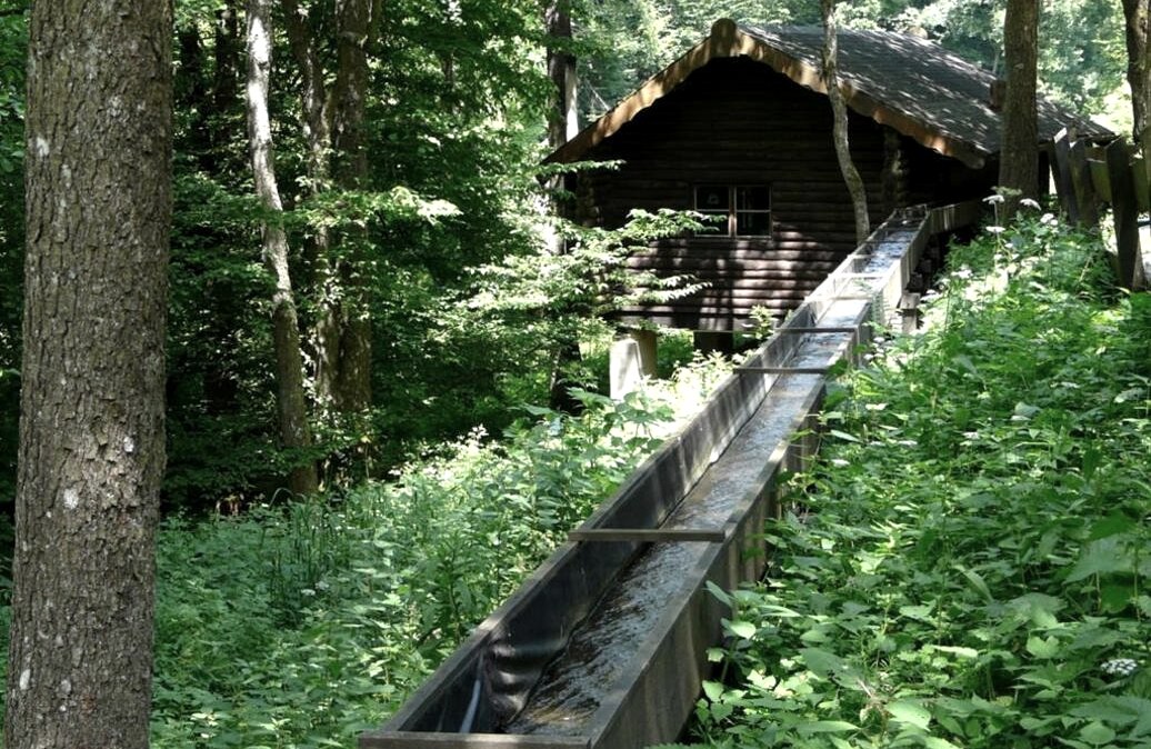 Historische Sägemühle Rohren im Kluckbachtal, © Monschau-Touristik GmbH