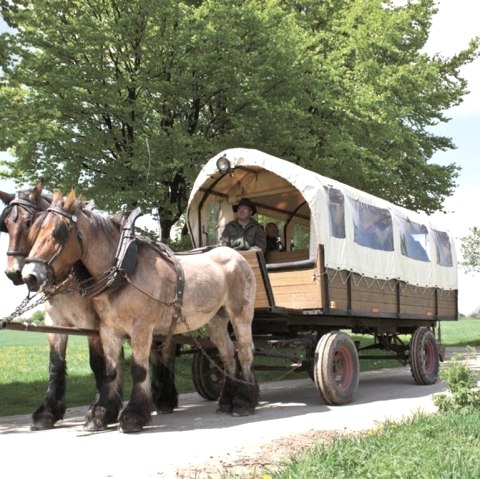 Ungermann covered wagon rides, © Gottfried Carls