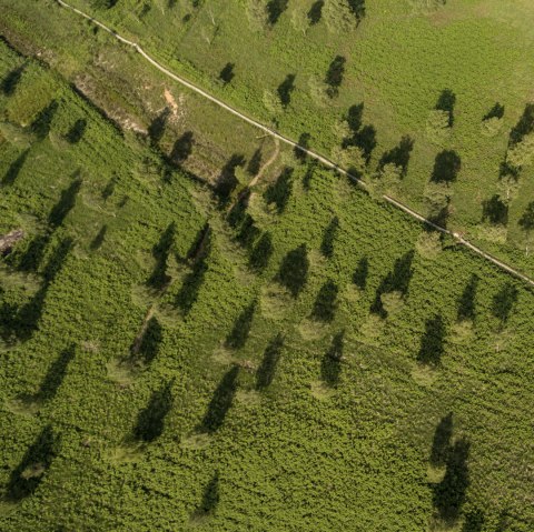 Luchtfoto van de Struffeltse Heide op de Eifelsteig, © Eifel Tourismus GmbH, D. Ketz