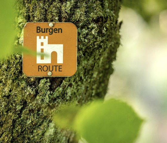 Ein orangefarbenes Schild mit der Aufschrift 'Burgen-Route' hängt an einem moosbewachsenen Baumstamm im Wald., © Eifel Tourismus GmbH, Dominik Ketz