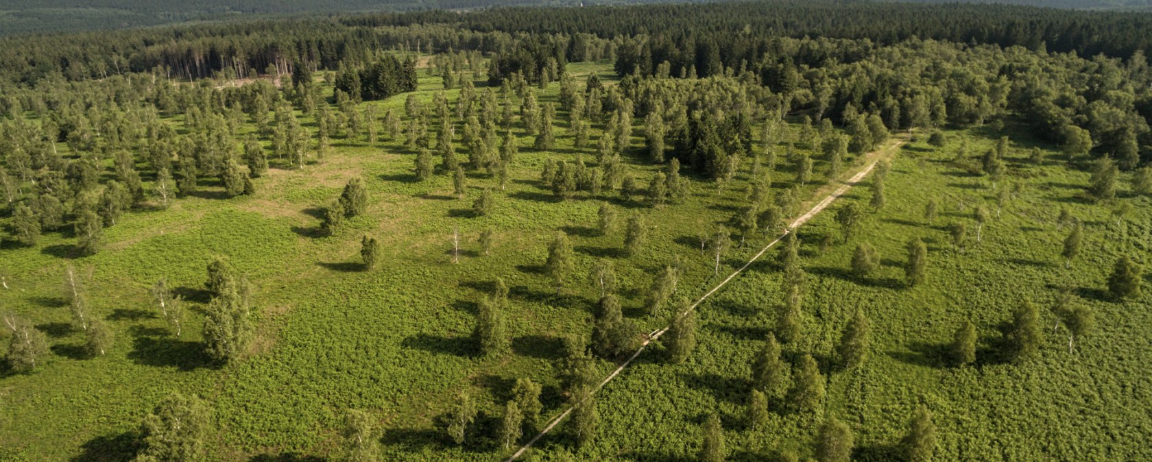 Hiking tour Struffeltroute from the air, © Eifel Tourismus GmbH/D. Ketz