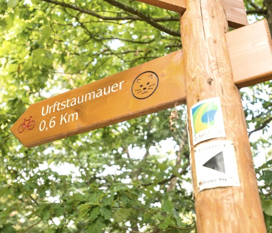 Vorbei am Wildnistrail auf dem Eifelsteig, © Eifel Tourismus/D. Ketz