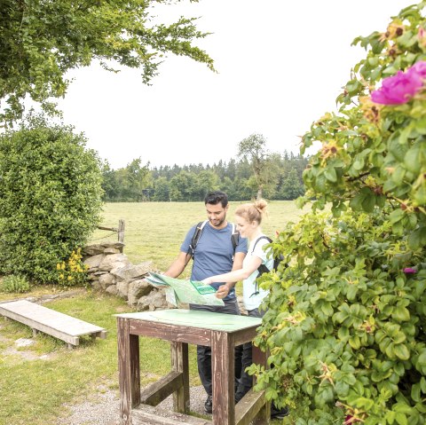 Eifel-Blick Steling, © Eifel Tourismus GmbH, AR-shapefruit AG