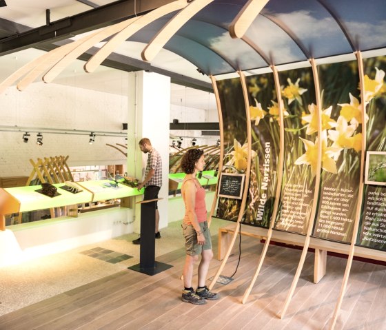 Tentoonstelling over wilde narcissen in de poort van het Nationaal Park Eifel in Monschau-Höfen, © Eifel Tourismus GmbH/D. Ketz