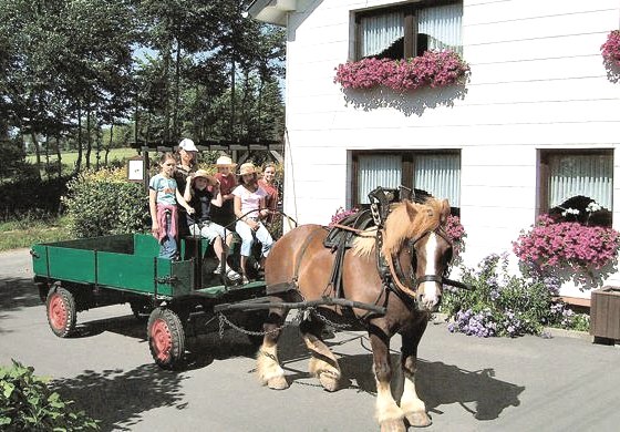 Vakantieboerderij Bauer, © Ferienhof Bauer