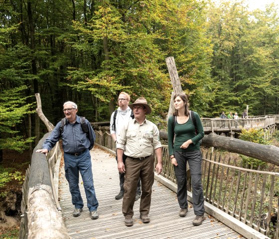 Guided tour with a ranger on the wild trail in the Eifel National Park, © Nationalpark Eifel, Dominik Ketz