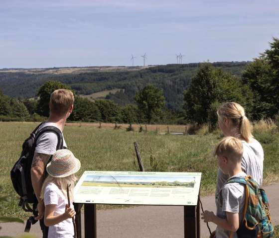 Vue sur l'Eifel Worbelescheed, © Eifel Tourismus GmbH_Tobias Vollmer