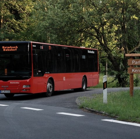 Busanreise Nationalpark Eifel, © R.Schulteis - Nationalparkforstamt Eifel