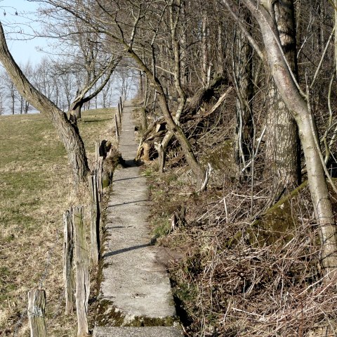 Bospad, © Monschau-Touristik