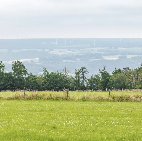 Vue de l'Eifel-Blick Steling, © Eifel Tourismus GmbH, AR-shapefruit AG