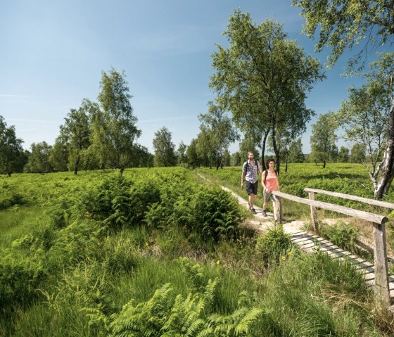 Hiking tour on the Struffel route: Over footbridges through the Struffelt Heath, © Eifel Tourismus GmbH/D. Ketz