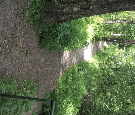 schleebach-richting-wildpark1, © (c) Gemeinde Roetgen