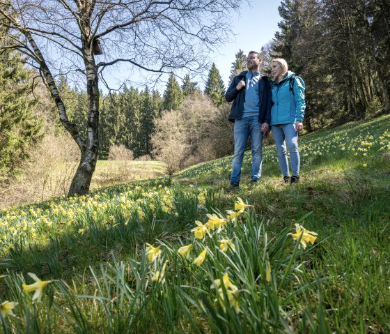 Wandelen op de narcissenroute, © Städteregion Aachen, Dominik Ketz