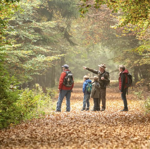 Op stap in de Kermeter met de ranger, © Nationalpark Eifel, Dominik Ketz