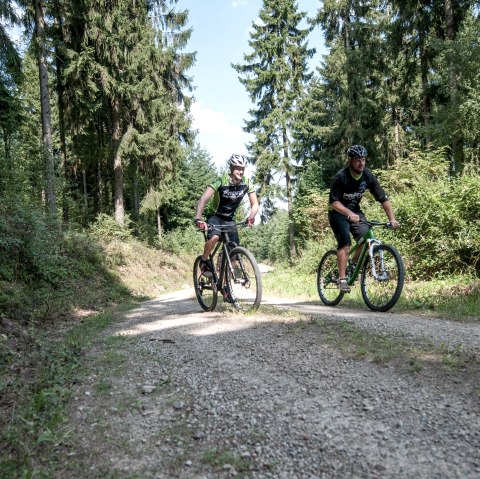 Mountainbike Fahrer, © Kreis Düren - Freifahrt Eifel