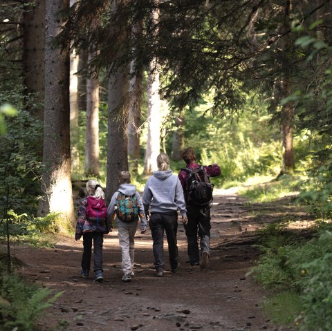 Familie in het bos, © eifel-tourismus-gmbh_tobias-vollmer